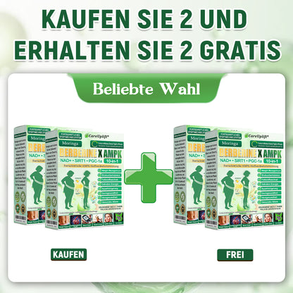 👩‍⚕️👩‍⚕️  CareUplift® MetaboX 10-IN-1 Berberin-AMPK-Pflaster