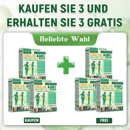 👩‍⚕️👩‍⚕️  CareUplift® MetaboX 10-IN-1 Berberin-AMPK-Pflaster